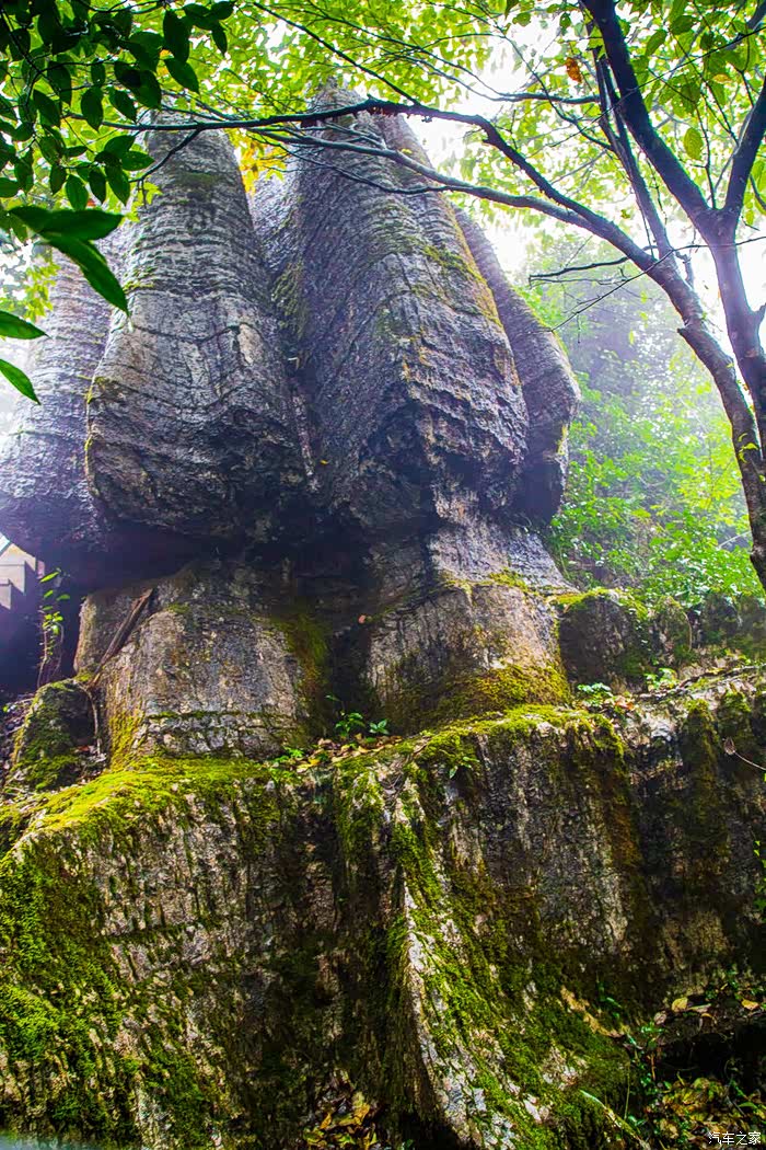 鬼斧神工景色奇雨雾之中侏罗纪重庆山王坪石林