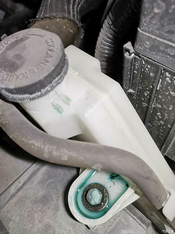 这啥情况防冻液都漫出来了