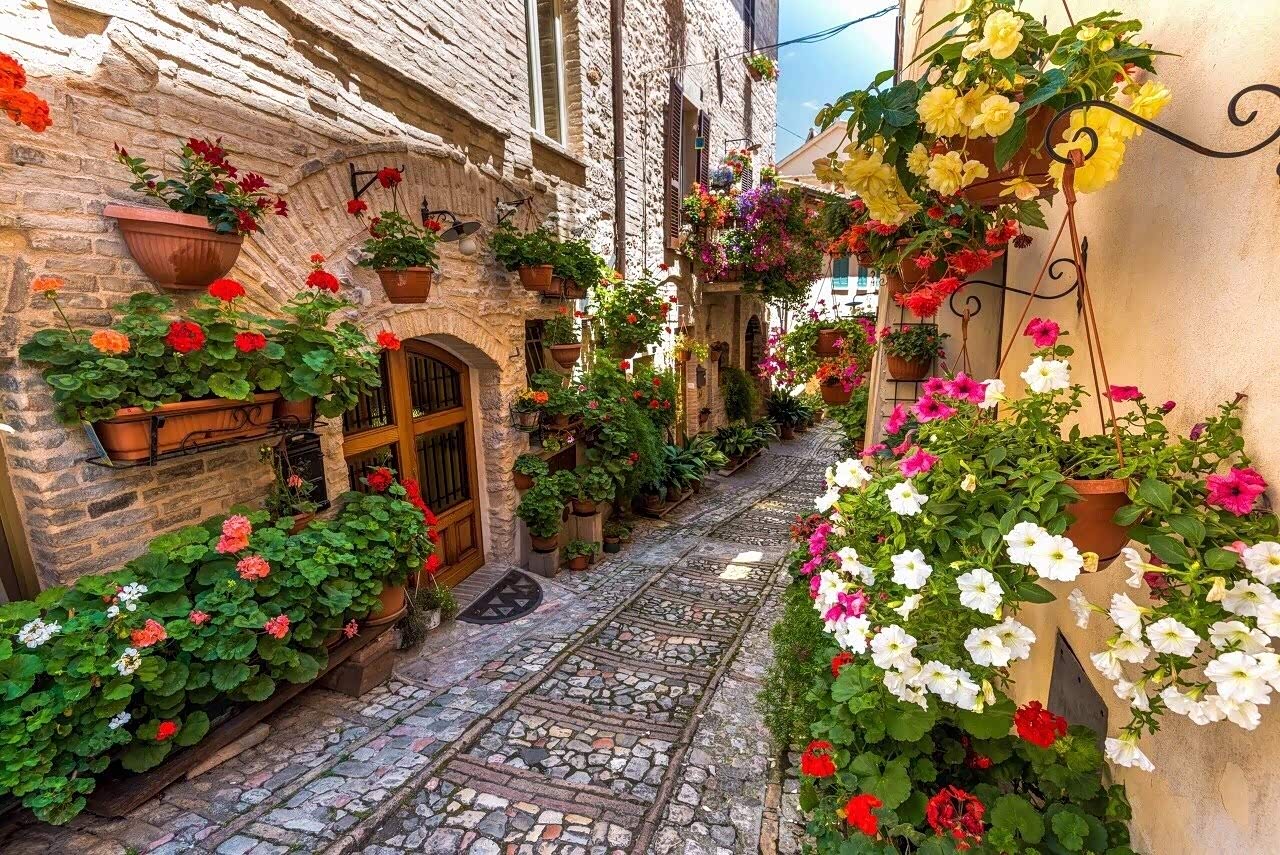 意大利鲜花小镇斯佩罗一个将石头与鲜花两样一坚一柔的