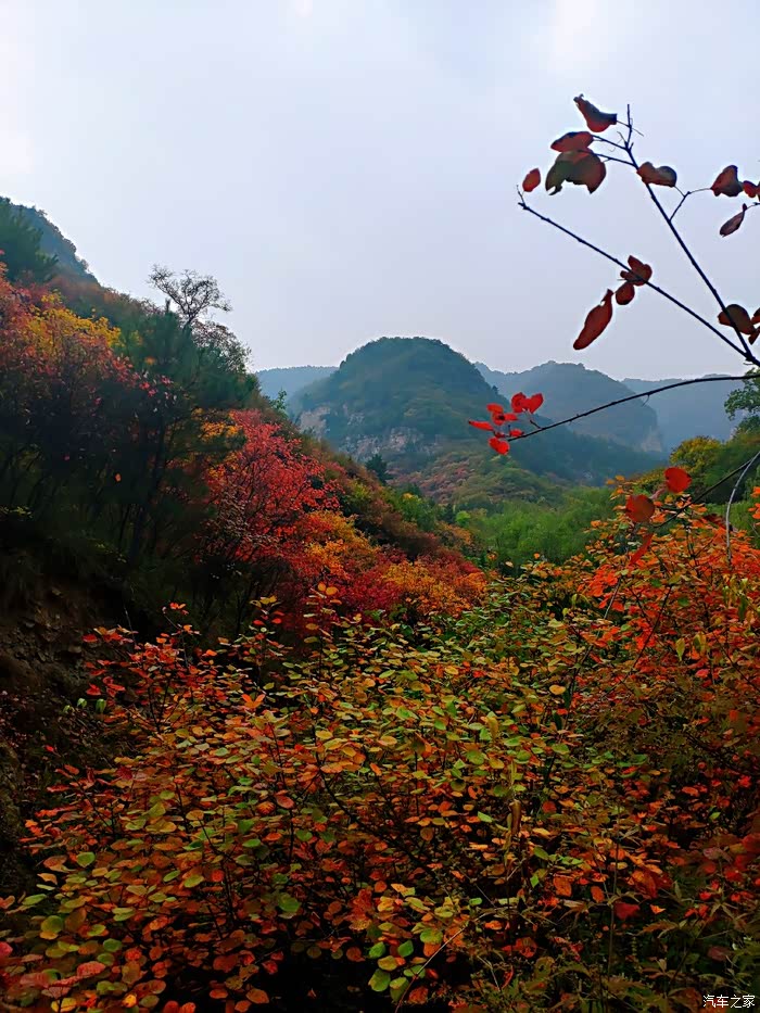探秘太行山仙台山看红叶