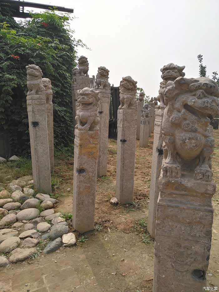 马嵬坡真的有个大坡啊