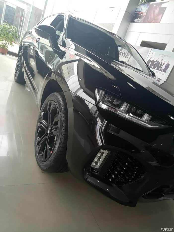 第一次买魏车挑的眼花缭乱