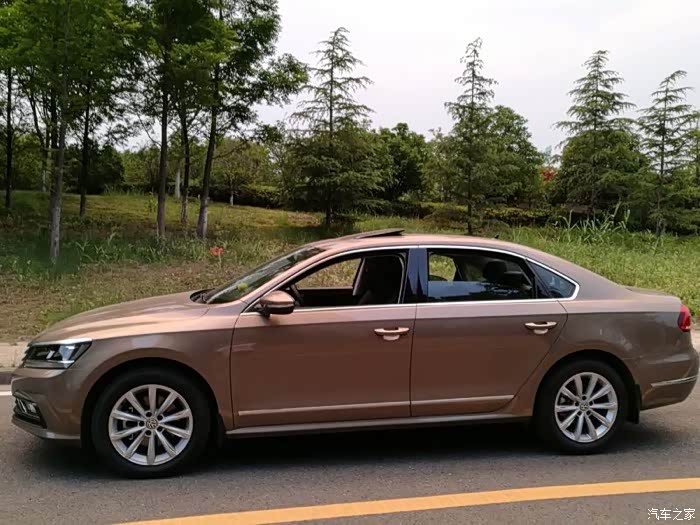 优雅的金色帕萨特