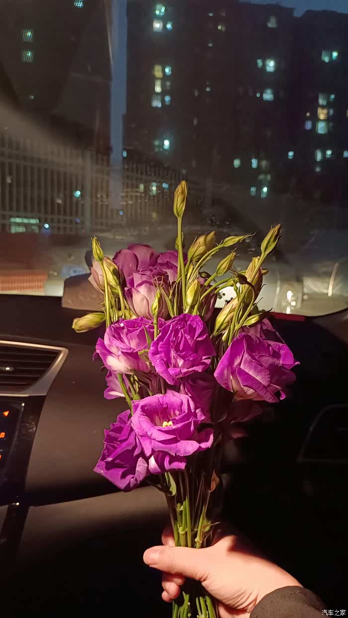 谁的副驾还没有一个小可爱呢美美的鲜花结束一天的疲劳