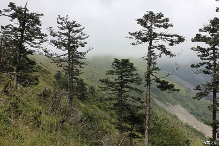 计划数年的构扒梁登西梁走法终于达成了