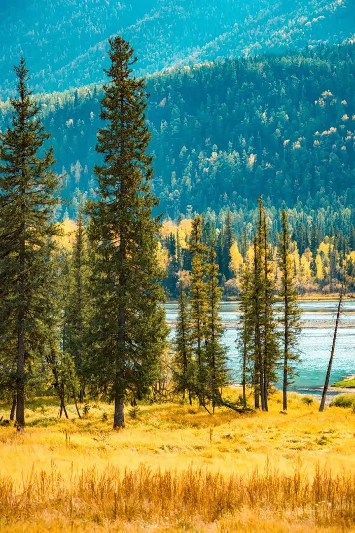 我喜爱午后的秋阳,面向景色优美的大自然