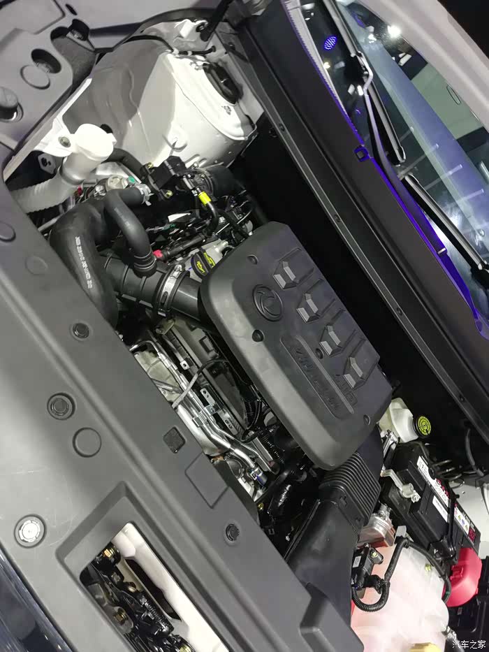 2019年18届上海国际汽车工业展-风行上海车友会东风-风行t5l探馆