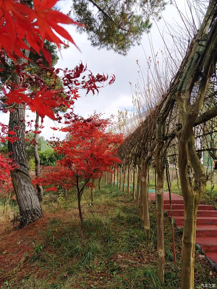 秋日里的乌当枫叶谷