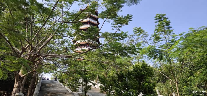 与cs35plus畅游黄圃公园