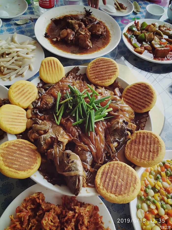 【图】保定凌渡车友会白洋淀一日游_凌渡论坛_汽车之家论坛