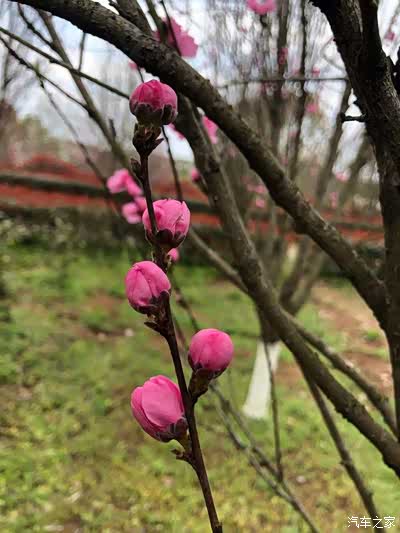 大好风光 万物生长