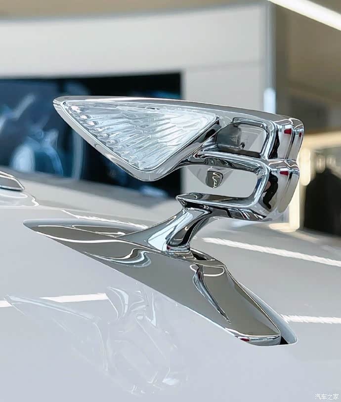 bentleyflyingspurw12立标有些看头