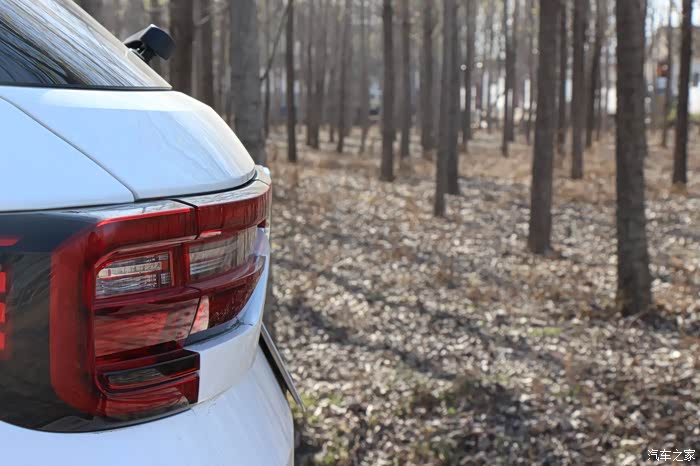 暖阳下35p邂逅小树林