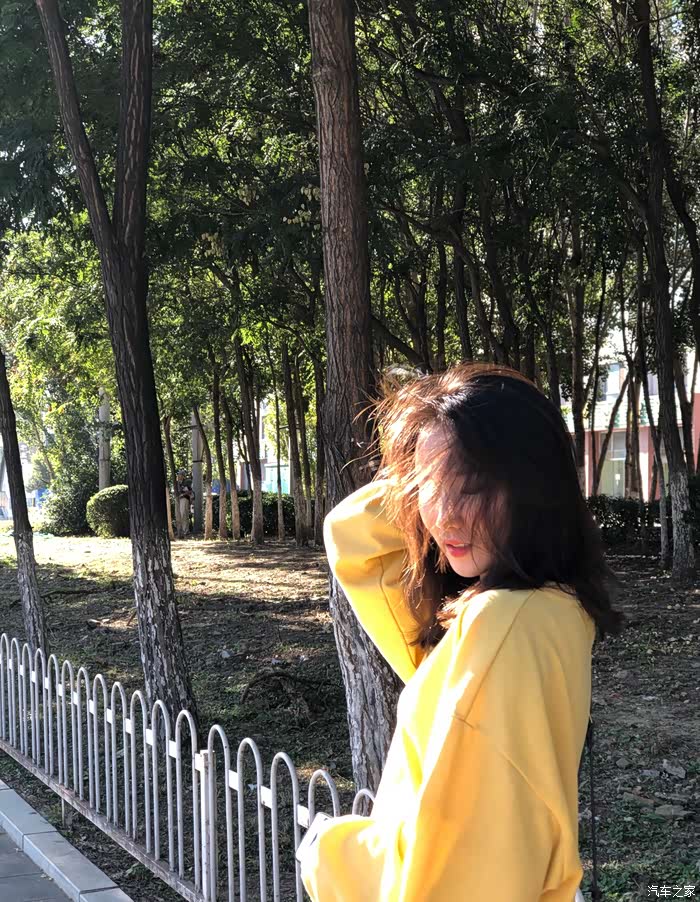 枯黄的落叶,一片,两片, 轻悠悠地飘落在水面上, 像无数只小船,顺风