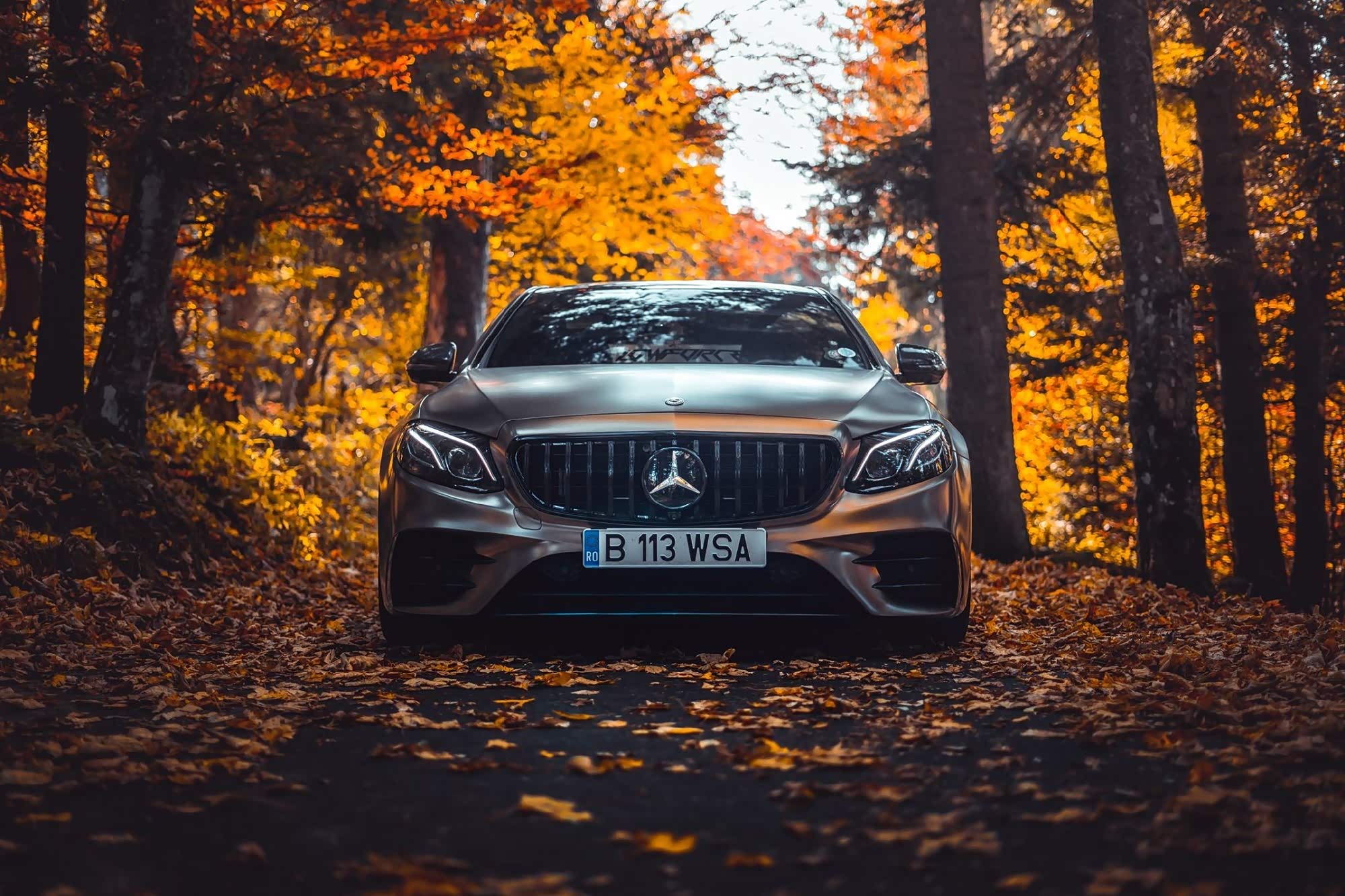 奔驰车行驶在秋天落叶的季节.