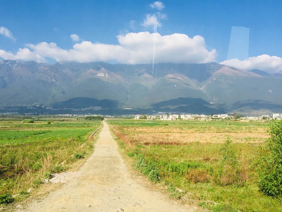 我从远方来,奔赴一场风花雪月