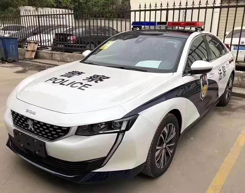 警车来袭正义之狮帅