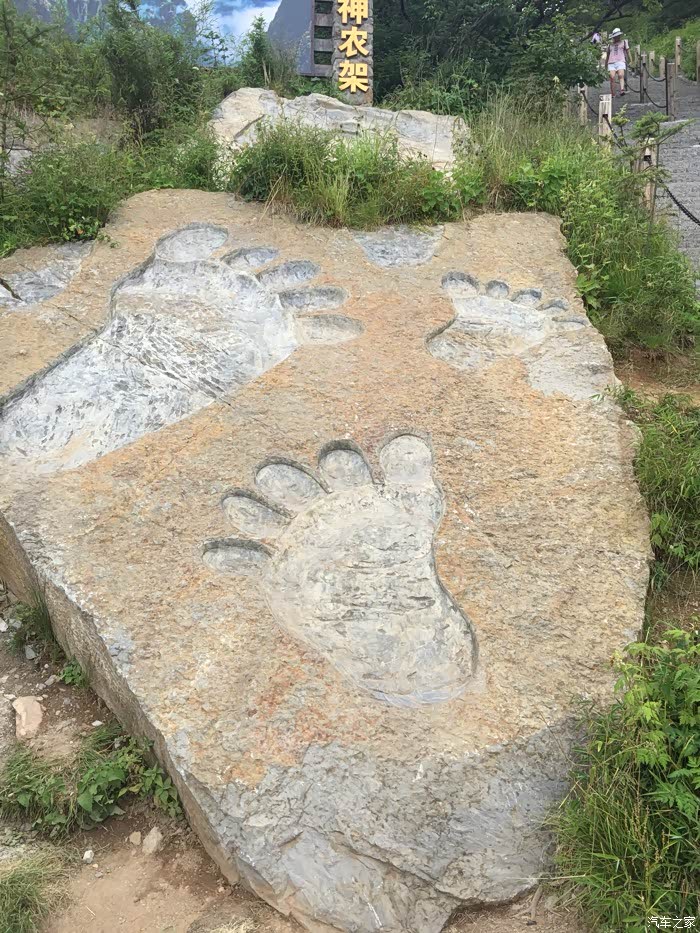 是不是挺萌的,神龙架的野人大脚印
