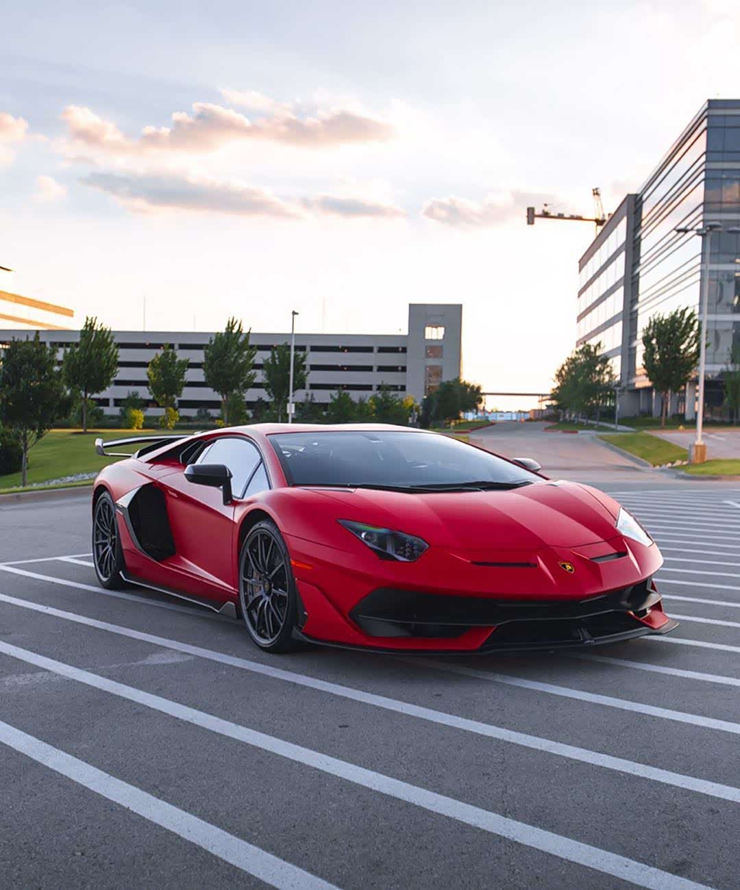 一枚很有魅力的svj大公牛