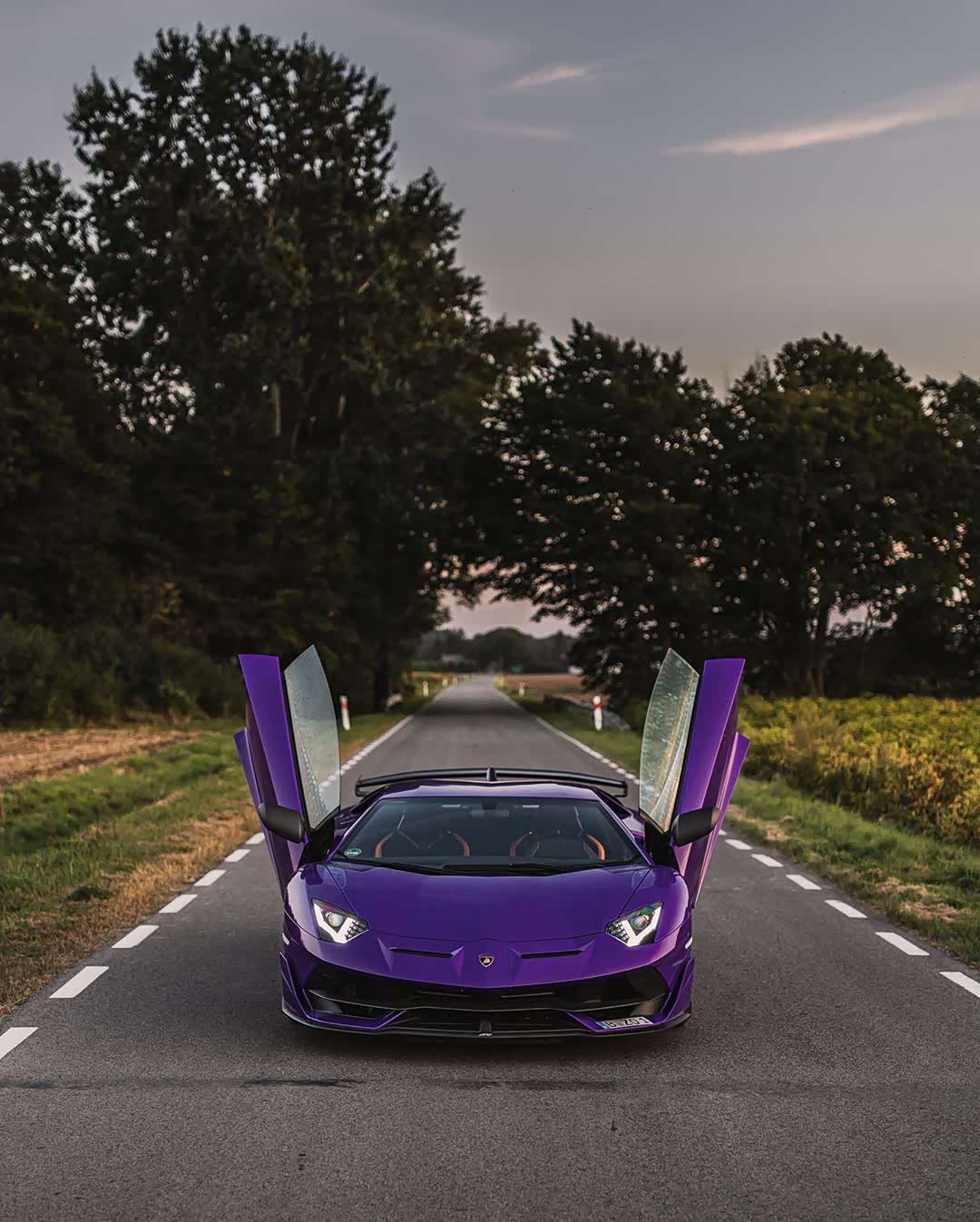 兰博基尼aventadorsvj