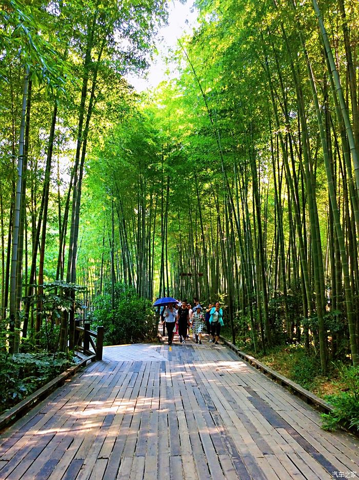 一汽大眾攬境南山竹海