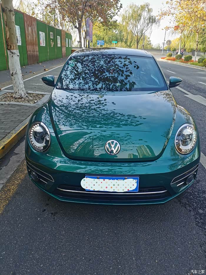 出17款限量版翡冷翠甲壳虫     江苏南京