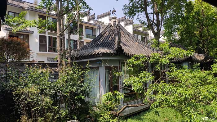 老爷子单车春游成都温江芙蓉古城十六支持辽宁论坛