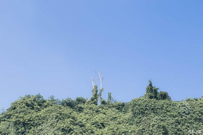 涠洲岛之旅心情畅快呀