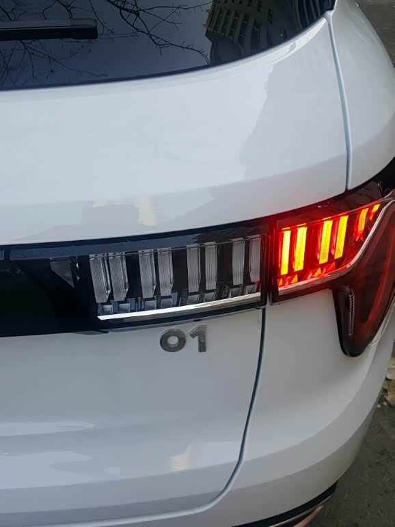 无忧无虑开领克,三免政策护01