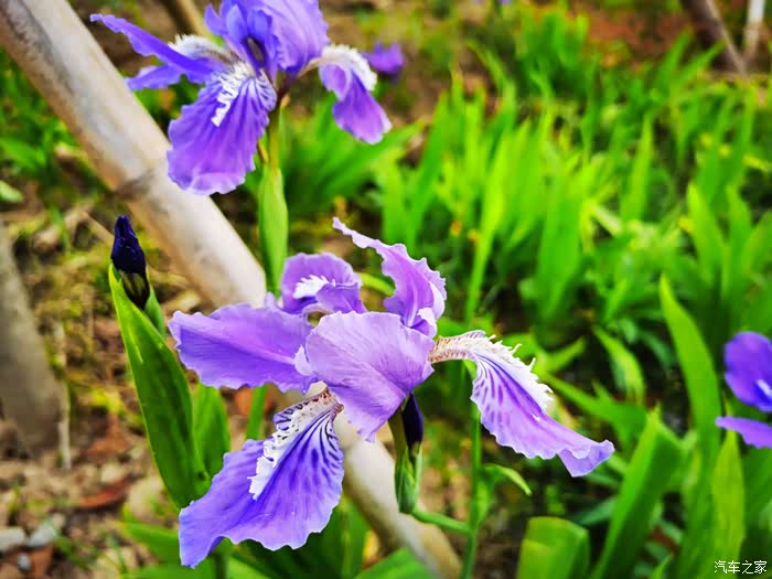 夏至未至,天已经很热了.