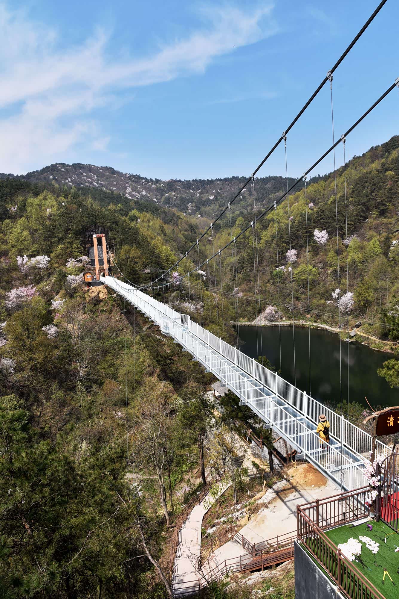 武汉赏樱胜地,错过武大在此如愿以偿,自驾避暑天堂清凉寨游玩全