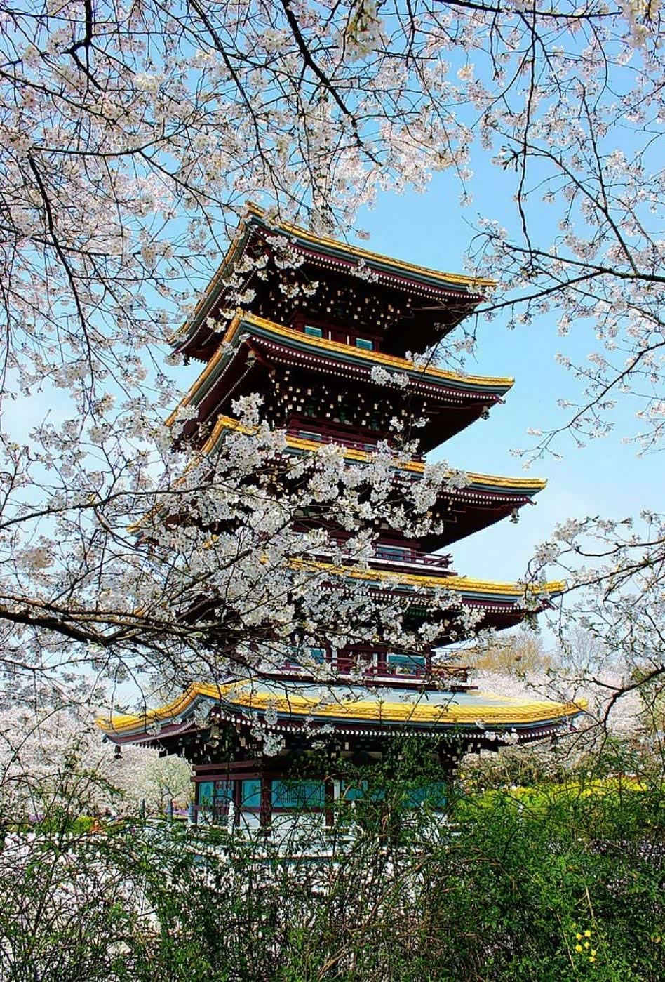 中国塔以楼阁式和密檐式为主是极具东方特色的传统建筑风格