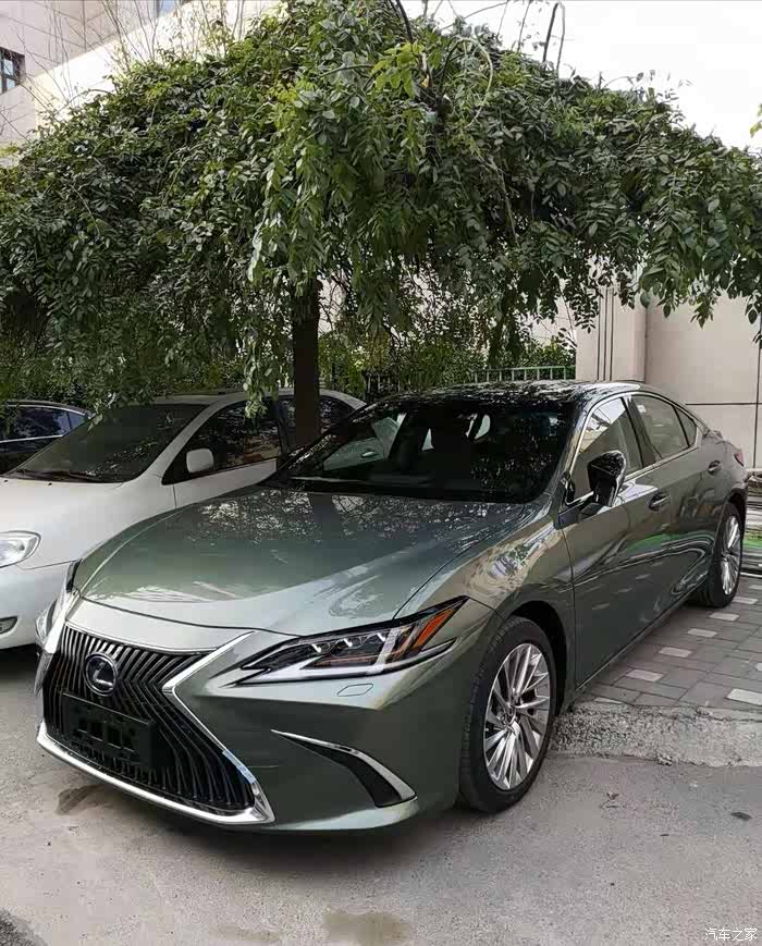 跪求凌波玉颜色图