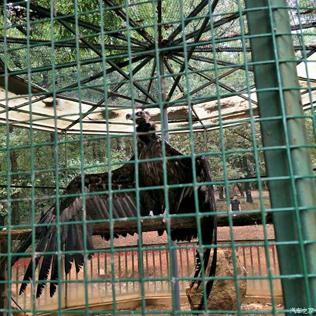 告別2021武漢九峰森林動物園