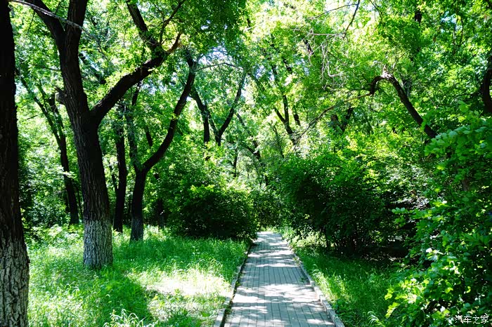 公园里草木长得十分茂盛.