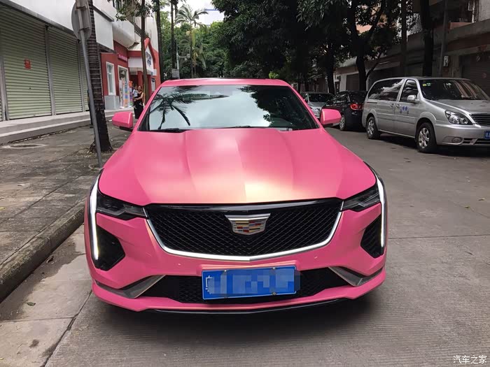 【图】可爱又有点酷酷的小四_凯迪拉克ct4论坛_汽车之家论坛