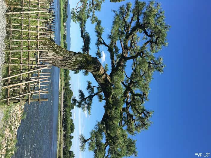 第一次日本自由行【大阪】 【京都】