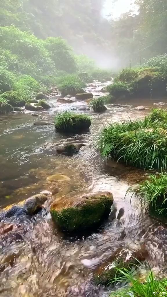 朦胧的溪流美景