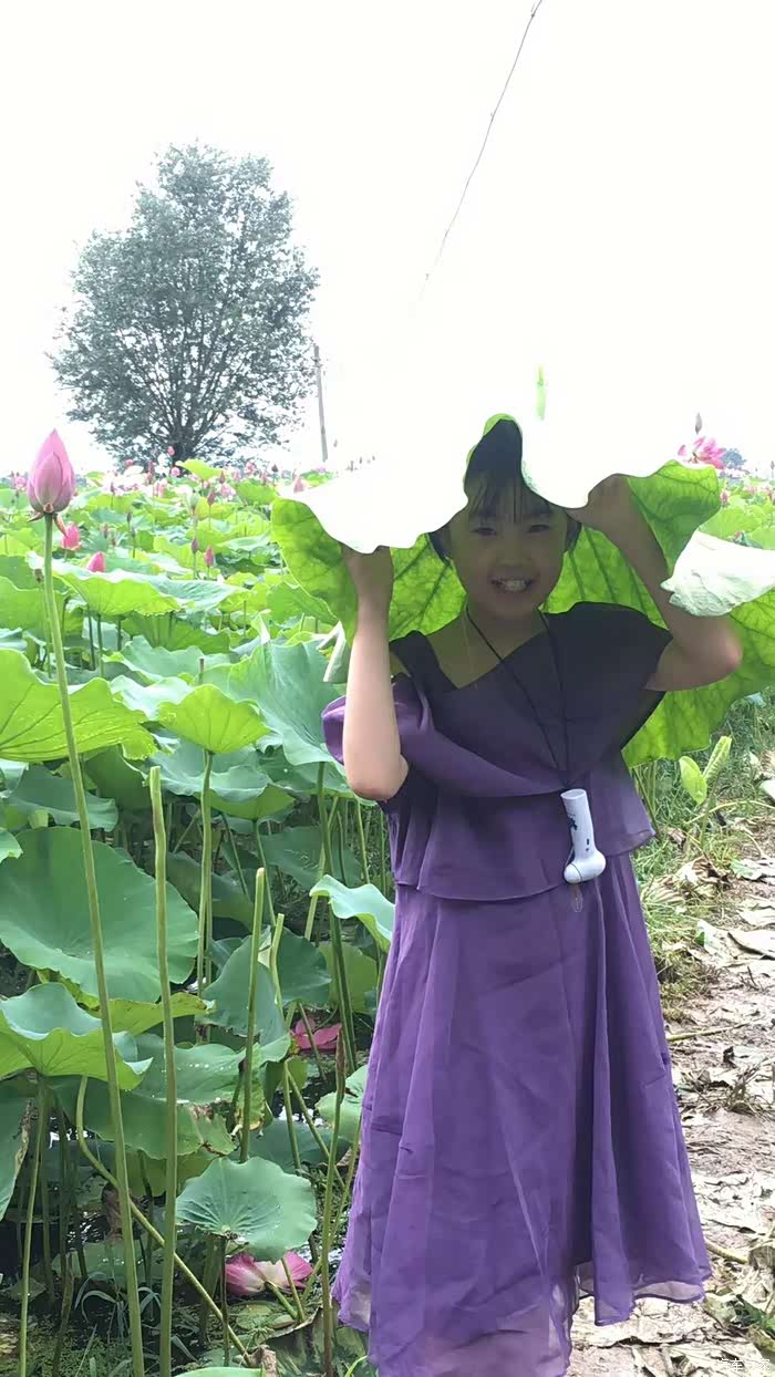 女儿头顶荷叶,真是比较灵气,穿紫色纱裙,感觉就像荷花塘边古灵精怪
