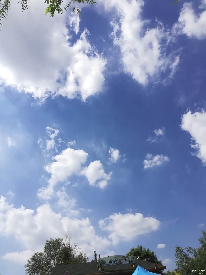 燃烧我的卡路里+抖音18岁香水