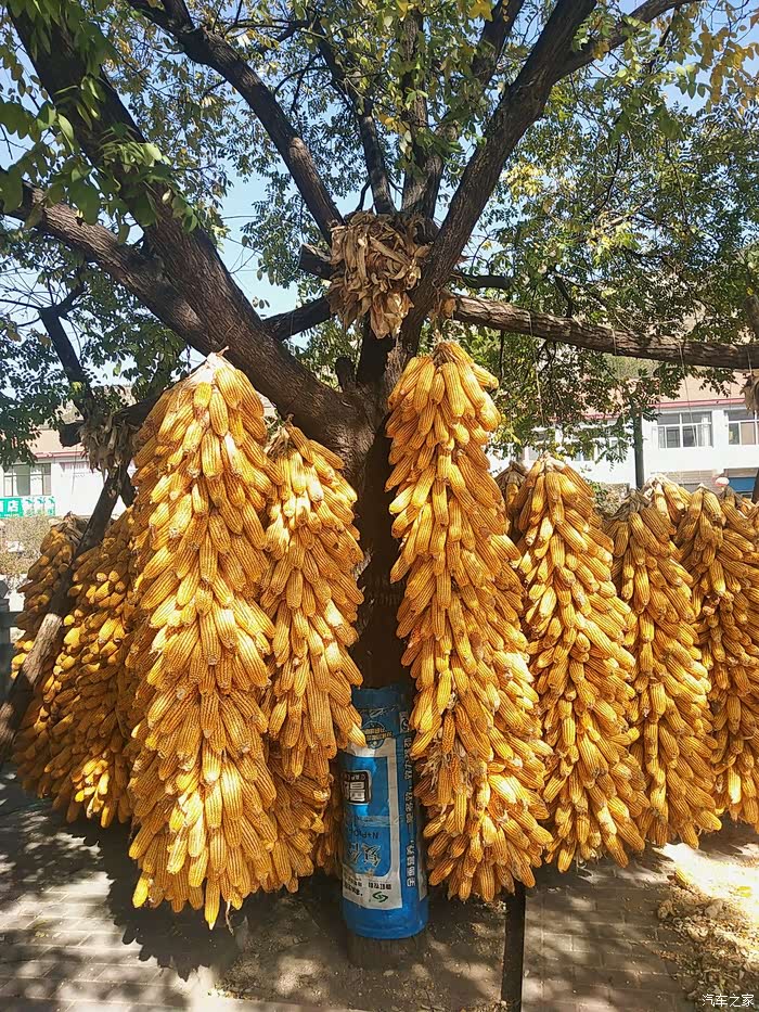 别错过生命旅途中每一道风景