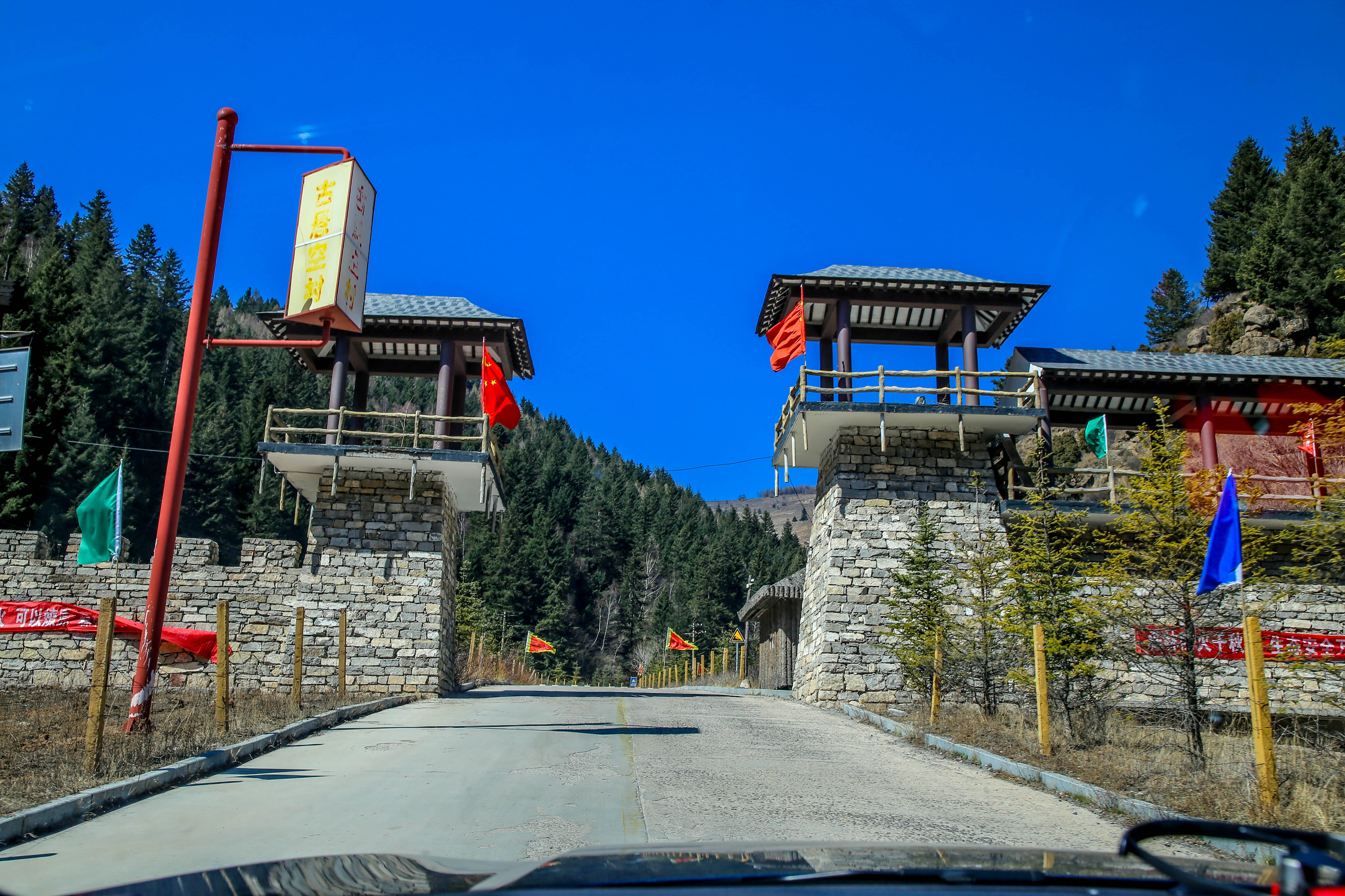 【安臣遊】銳行無際 鑑賞春天 自駕福特銳際 蘆芽山自駕之旅