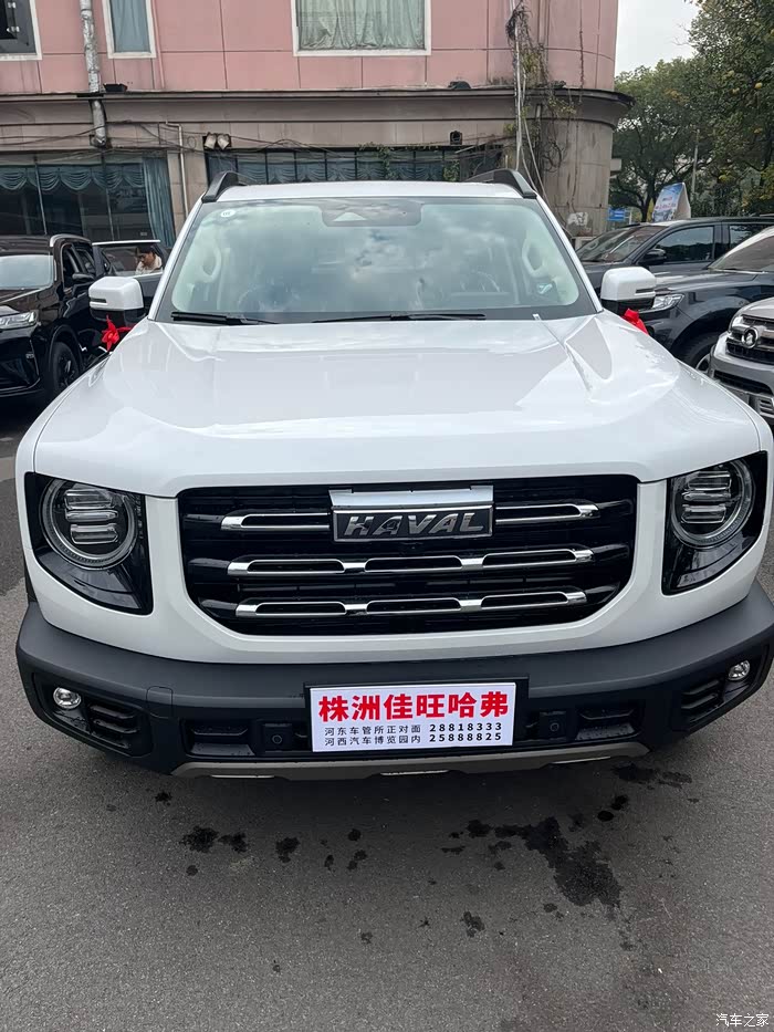 【图】哈佛大狗边牧_哈弗大狗论坛_汽车之家论坛