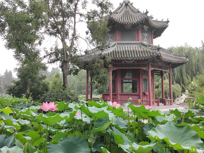 保定十分妩媚色竞有七分在莲池