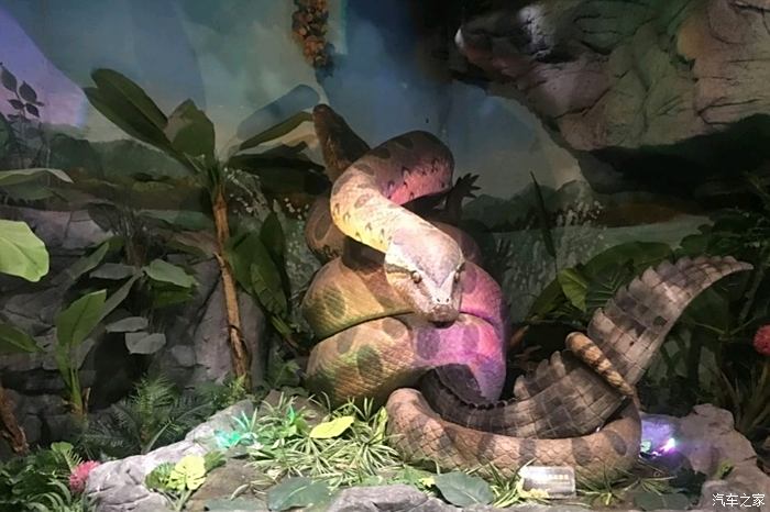湖州蟒蛇动物园图片