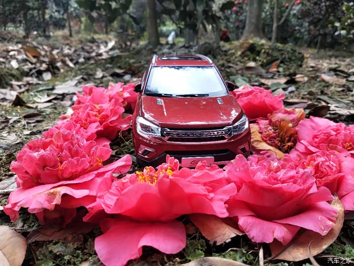 粉红色的茶花环绕下的红色cs75展现出它硬朗大气的一面!