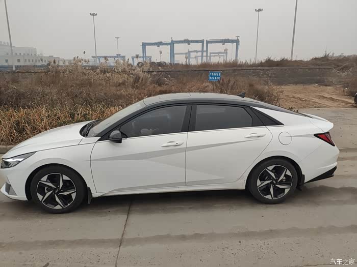 第七代伊兰特白色车身黑色顶双拼色尊贵版提车作业