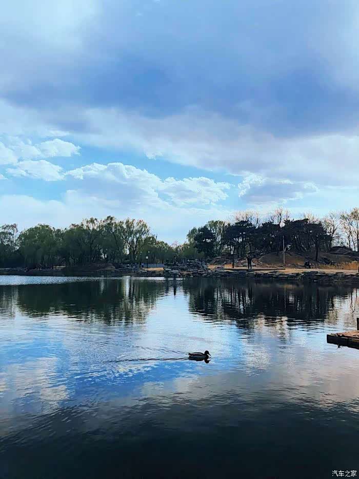 一往无前虎山行,拨开云雾见光明。