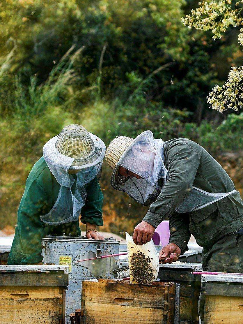 圖 秋天是個收穫的季節,是農民最忙碌的季節!