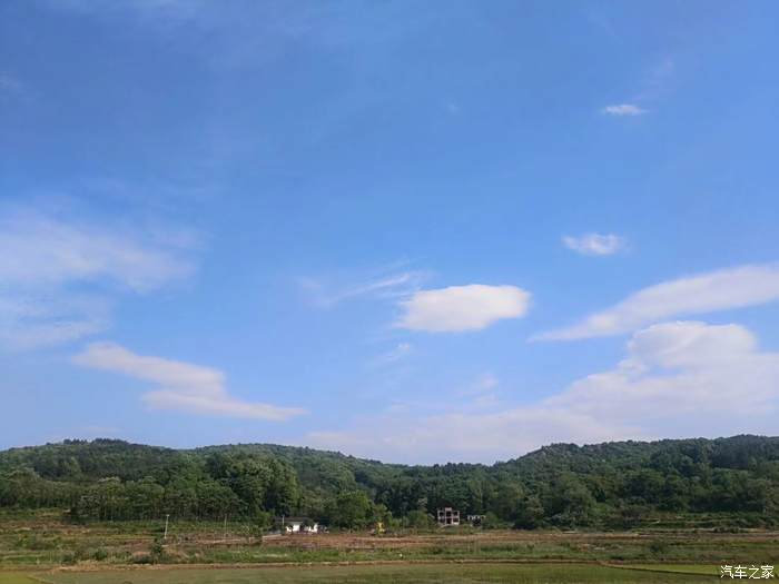 嘉悅出遊,大圍山看風景,賞杜鵑花